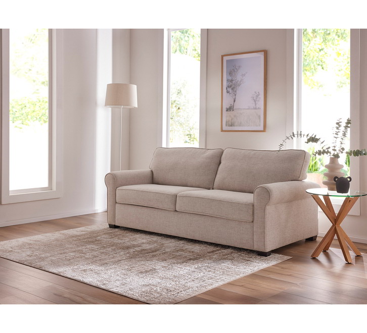 Modern minimalist casual two seater sofa bed